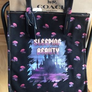 Disney X Coach Canvas Pouch Sleeping Beauty
